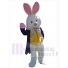 Easter Bunny Rabbit mascot costume