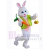 Easter Bunny Rabbit mascot costume