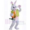 Easter Bunny Rabbit mascot costume