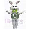 Easter Bunny Rabbit mascot costume