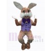 Easter Bunny Rabbit mascot costume