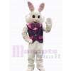 Easter Bunny Rabbit mascot costume