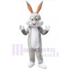 Easter Bunny Rabbit mascot costume