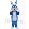 Easter Bunny Rabbit mascot costume