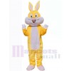 Easter Bunny Rabbit mascot costume