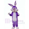 Easter Bunny Rabbit mascot costume
