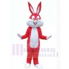 Easter Bunny Rabbit mascot costume