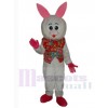 Easter Bunny Rabbit mascot costume