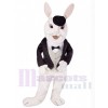 Easter Bunny Rabbit mascot costume