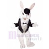 Easter Bunny Rabbit mascot costume