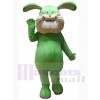Easter Bunny Rabbit mascot costume