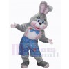Easter Bunny Rabbit mascot costume