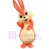 Easter Bunny Rabbit mascot costume