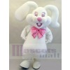 Easter Bunny Rabbit mascot costume