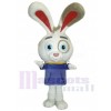 Easter Bunny Rabbit mascot costume