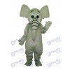 Little Grey Elephant Mascot Adult Costume