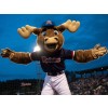 Sports Tacoma Rainiers Rhubarb The Reindeer Mascot Costume