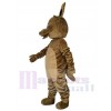 Kangaroo mascot costume