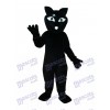 Black Fox Mascot Adult Costume