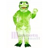 Jaunty Toad Frog Mascot Costume