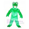 Cute Frog Mascot Costume