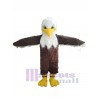 Eagle mascot costume