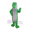 Crocodile mascot costume