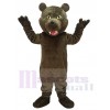 Brown Grizzly Bear Plush Mascot Costume