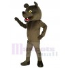 Grizzly Bear mascot costume