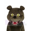 Grizzly Bear mascot costume