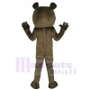 Grizzly Bear mascot costume