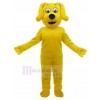 dog mascot costume