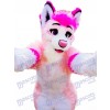 Husky Dog Adult Mascot Costume