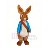 Peter Rabbit with Blue Clothes Mascot Costumes Cartoon	