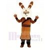 Kung Fu Panda Master Shifu Raccoon Mascot Costume Animal