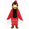 Long Hair Red Cardinal Mascot Costume Animal