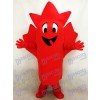 Red Maple Leaf Mascot Costume
