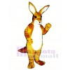 Kangaroo Mascot Costume