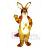 Kangaroo with Joey Mascot Costume