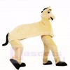 Cute Two Man Horse Mascot Costumes Cartoon