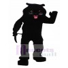 Black Panther Mascot Costume