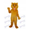 Old Brown Lion Mascot Adult Costume