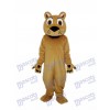 Beardless Lion Mascot Adult Costume