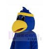Falcon mascot costume