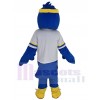Falcon mascot costume