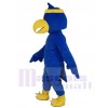 Falcon mascot costume