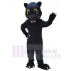 Panther mascot costume