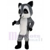 Raccoon mascot costume