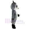 Raccoon mascot costume