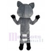 Raccoon mascot costume